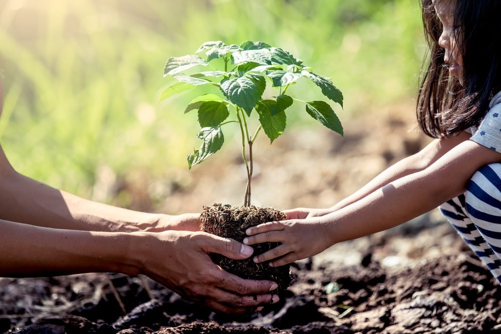 Parent and child planting